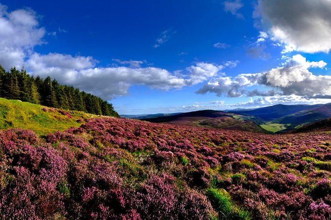 Kilkenny, Wicklow Mountains & Glendalough Day Tour from Dublin - Price and included value: what you pay for at $48-ish