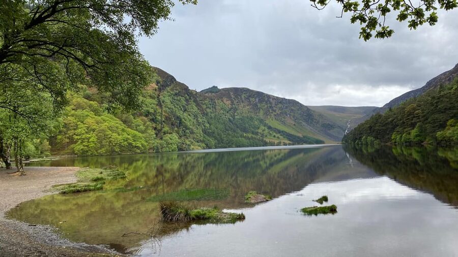 Personal Tour from Dublin: Wicklow, Glendalough, Powerscourt - Price and Group Size: Getting Value for $732