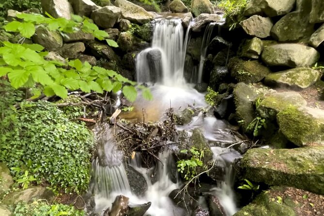 Private Garden of Ireland Wicklow Tour from Dublin - Key highlights worth your attention