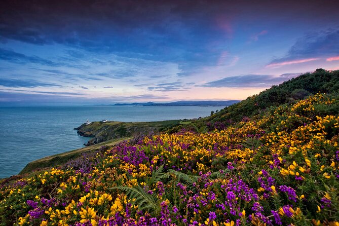 Private Howth Coastal Walk - Optional Howth Castle: St Lawrence, and the Blind Lord legend
