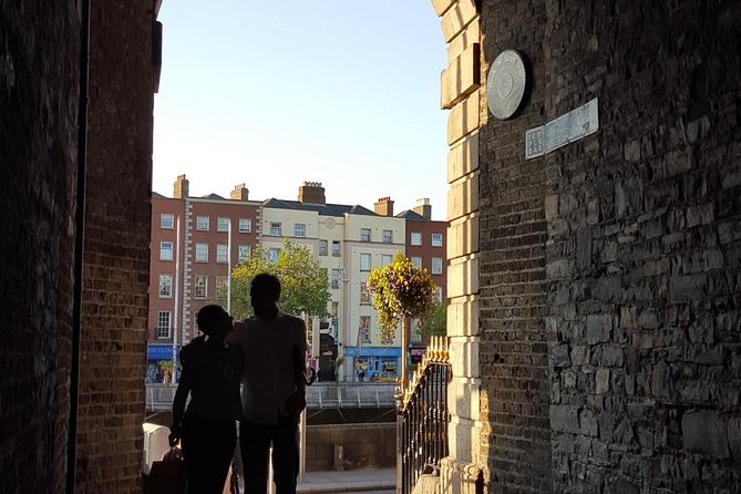 Private (Nearly!) All of Dublin in 5 hours (Walking Tour) - Dublin Castle courtyards and Christchurch Cathedral, minus the hard sell
