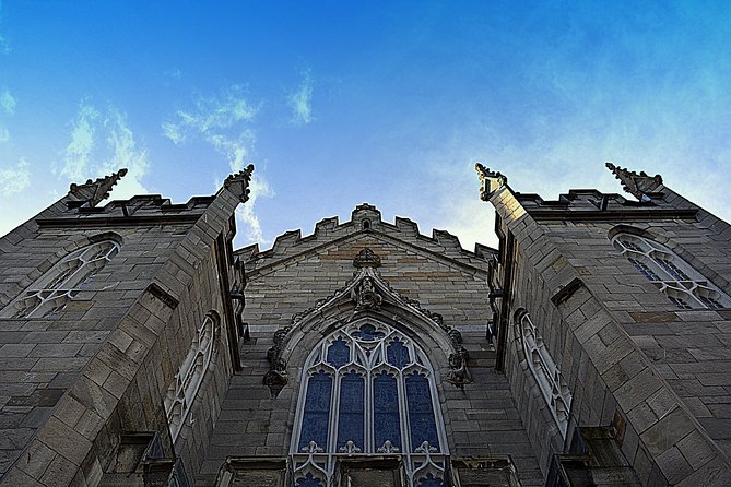 Private (Nearly!) All of Dublin in 5 hours (Walking Tour) - National Museum of Ireland or Book of Kells, plus the government-core loop