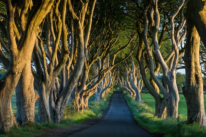 Private Northern Ireland Day Tour from Dublin - Dunluce Castle: Basalt Cliffs, Ruins, and Sea Views You Will Remember