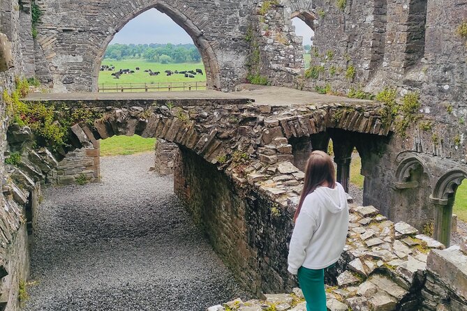Private Tour from Dublin: Hill of Tara Trim Castle, Celtic sites - Hill of Tara: prehistoric ritual mounds and legendary kings