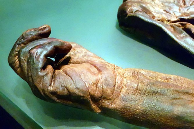Private Tour of Dublin Museums (Walking Tour) - Price and value: $207.35 per person, and what you actually get for it