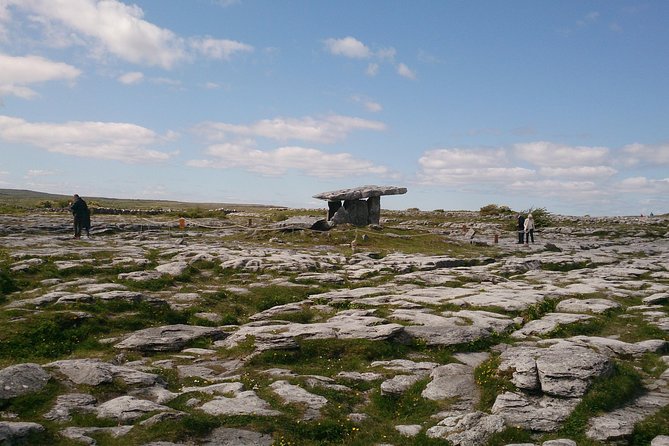 Private tour to the Cliffs of Moher guided in Spanish - Optional boat ride at the base: worth considering if weather cooperates