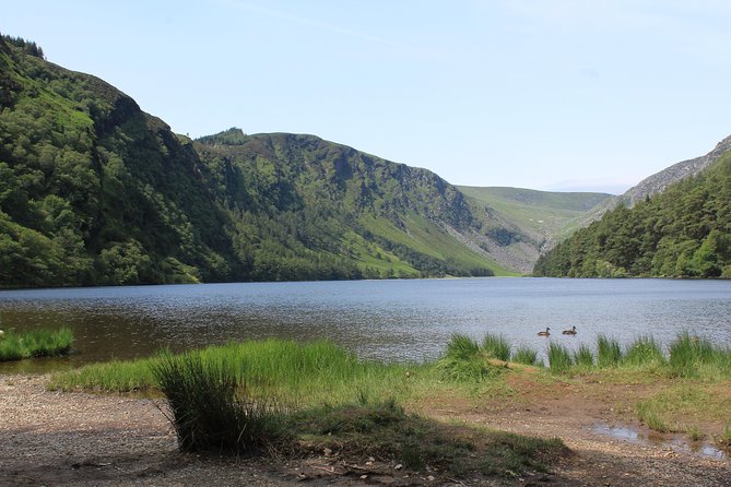 Private Wicklow Mountains Day Tour - Why this Wicklow trip feels calmer than the bus day