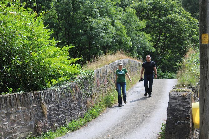 Private Wicklow Mountains Day Tour - Glendalough: monastic ruins, St Kevin, and the lake-to-lake hike