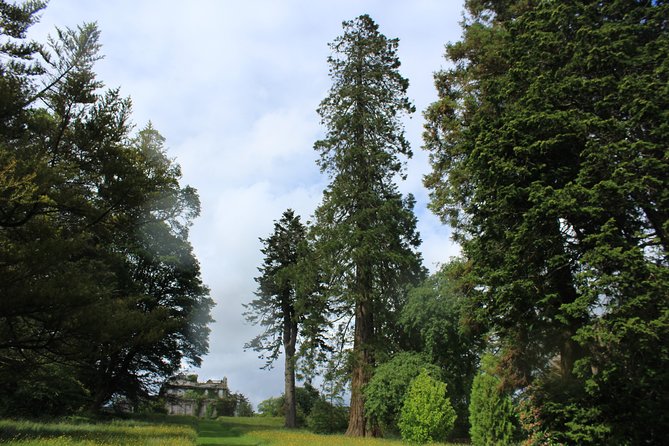 Private Wicklow Mountains Day Tour - National Botanic Gardens, Kilmacurragh: a softer landing on the way back