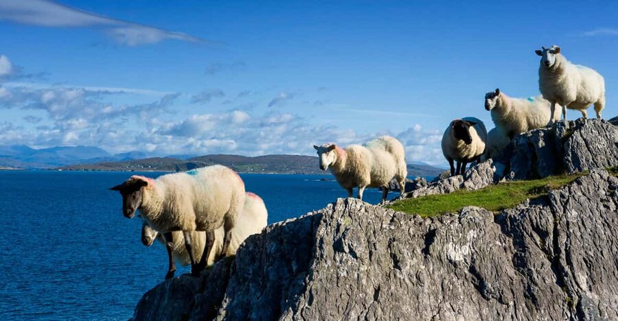 Private Wild Atlantic Day Tour from Cork - Key things I’d focus on