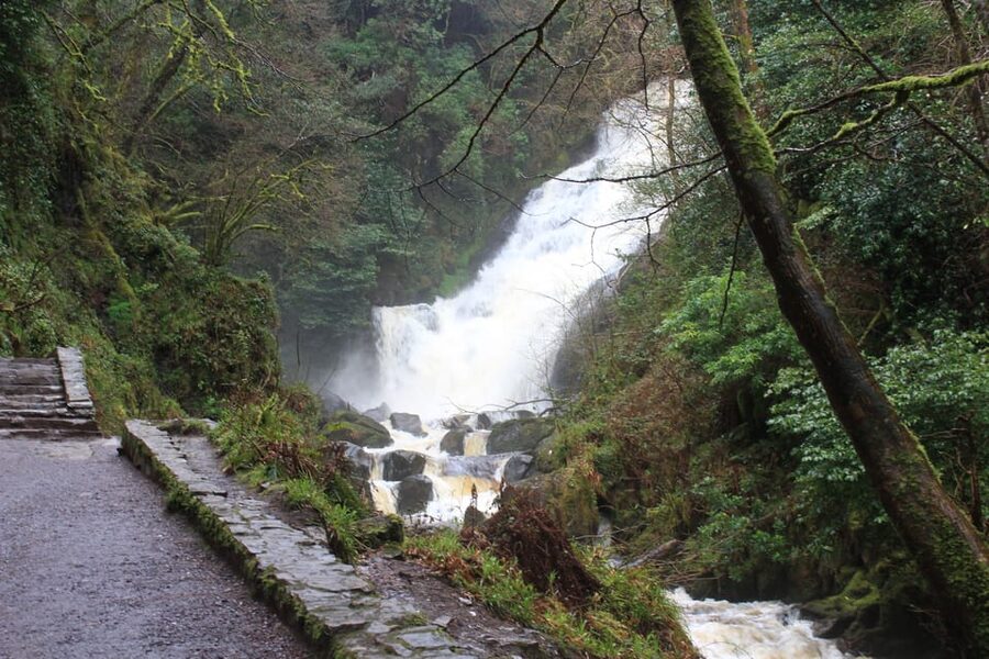 Private Wild Atlantic Day Tour from Cork - Adventure activities like hiking and cycling, without the planning headache