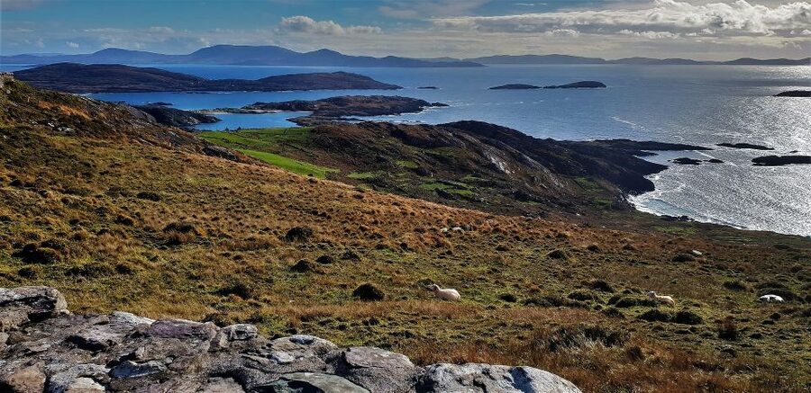 Rail Tour from Dublin: The Ring of Kerry - Dingle Bay and the coastal drama you came for