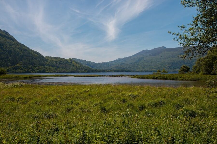 Rail Tour from Dublin: The Ring of Kerry - Food, drinks, and the cash moments to plan for