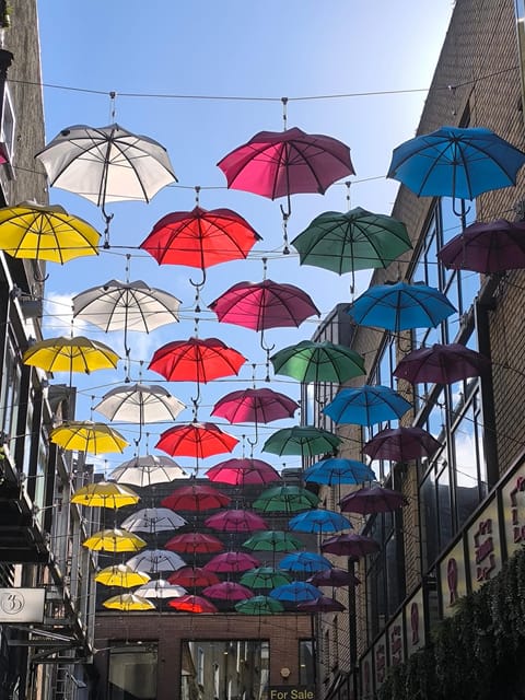 Secret and unusual Dublin: guided walking tour - Temple Bar stop: street art and culture, with real context