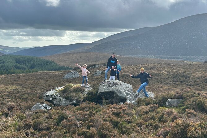 Sheepdogs in the countryside, authentic Dubliners city tour combo - Jameson Distillery Bow Street and the Temple Bar night option