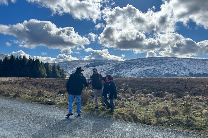 Sheepdogs in the countryside, authentic Dubliners city tour combo - Private group and pickup, value that depends on your headcount
