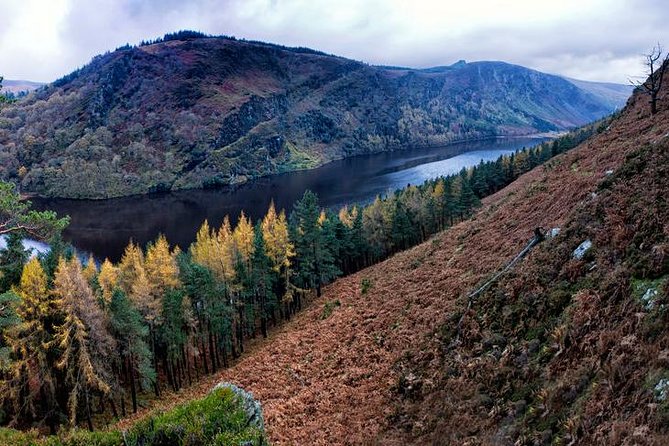(Small Group) Shore Tour from Dublin:Dublin Highlights and Glendalough Day Trip - Photo Stops, Turf Hills, and How the Timing Fits an 8-Hour Shore Day