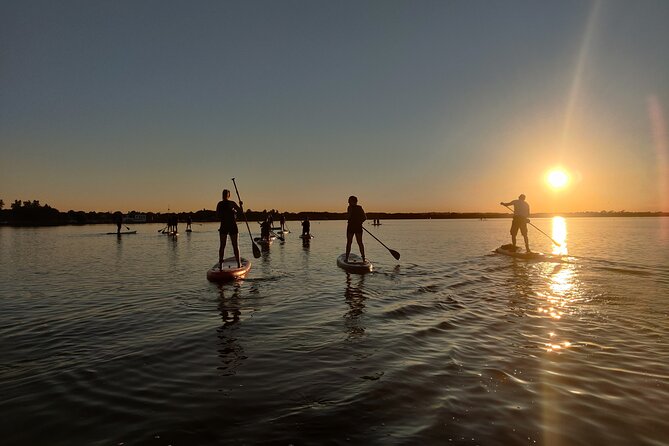 Sunset SUP experience in Malahide, Dublin - Tides, Wind, and Hazards at Sunset in Malahide