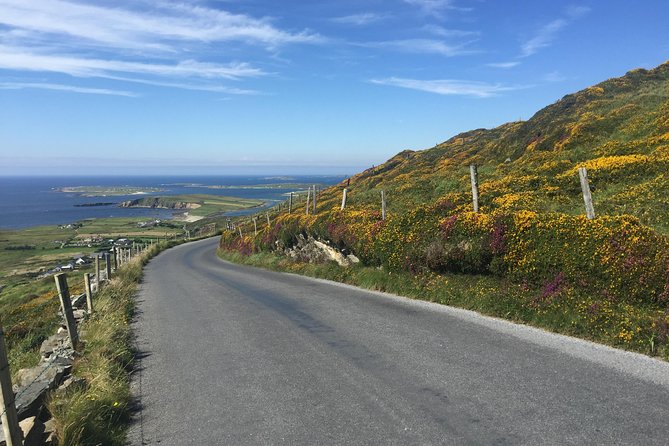 Sustainable Connemara and Galway Bay Rail Tour from Dublin - Should you book Sustainable Connemara and Galway Bay by rail from Dublin?