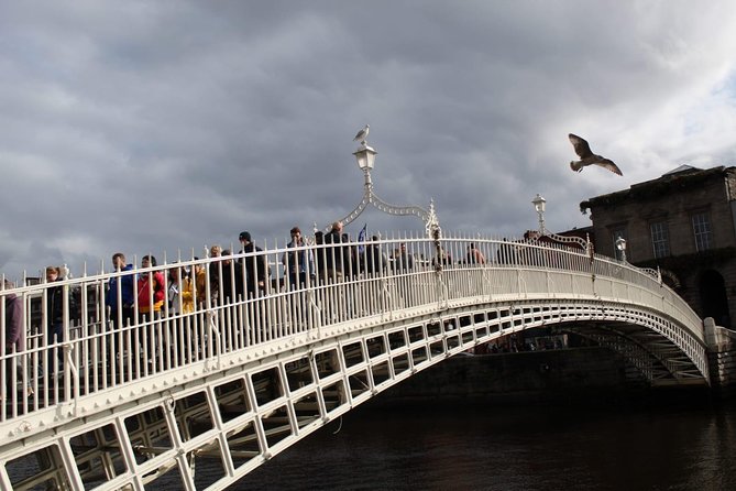 The Dublin Private Walking Tour - Ending at Oscar Wilde’s monument in Merrion Square North