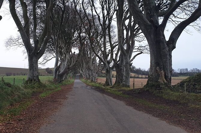 The Giant's Causeway, Dunluce Castel and Belfast - Spanish guide - Tips to get comfortable and avoid day-trip stress