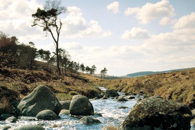 The Original Award Winning Wild Wicklow Tour incl. Glendalough - Lunch at Lynhams of Laragh: what you’re buying (and what to skip)