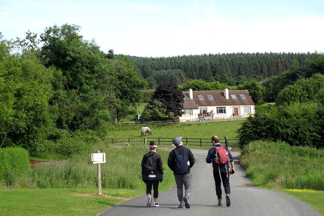 Trek the Tombs and Trails in the Dublin Mountains - Wicklow Mountains National Park Segment: Walking That Feels Longer Than It Looks