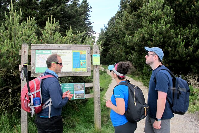 Trek the Tombs and Trails in the Dublin Mountains - Wild Berries on the Ridge: A Snack That Turns into a Plan