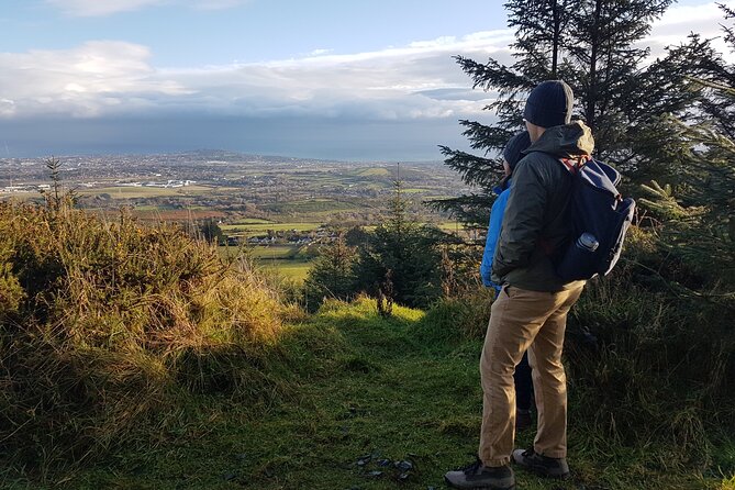 Trek the Tombs and Trails in the Dublin Mountains - Hazel House and the Second Burial Site: Stone Circle on a Named Mountain Top