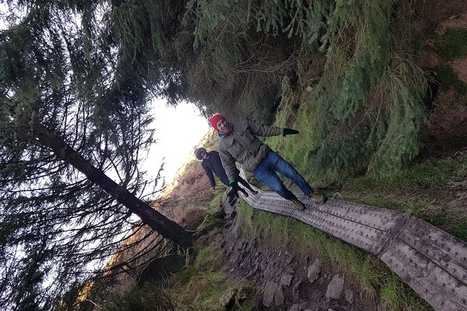 Trek the Tombs and Trails in the Dublin Mountains - Evergreen Forest Down, Rural Backroads Home
