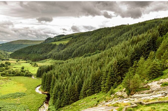Wicklow and Glendalough Private Chauffeured Sightseeing Tour - Stop 2: Powerscourt Waterfall and the long-view trees