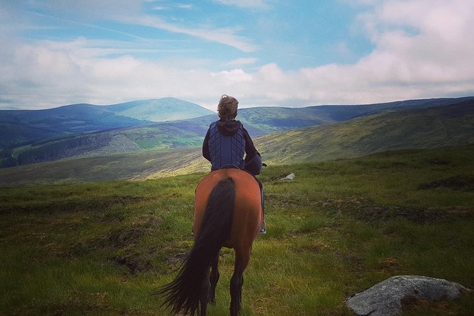 Wicklow Mountains Horse Trekking - Key highlights you should care about