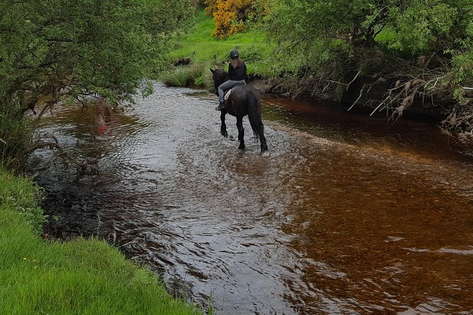 Wicklow Mountains Horse Trekking - Where the ride begins: Hollywood Horse And Pony Trekking at 10:00 am