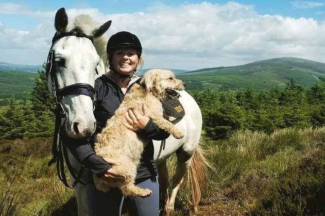 Wicklow Mountains Horse Trekking - On the trail in Wicklow: mountains, river valley paths, and why the route feels special