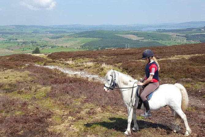 Wicklow Mountains Horse Trekking - The horses and guides: patient mounts, attentive instruction, and named friendly faces