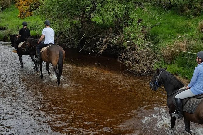 Wicklow Mountains Horse Trekking - Weather reality: rain and wind do not automatically cancel the fun