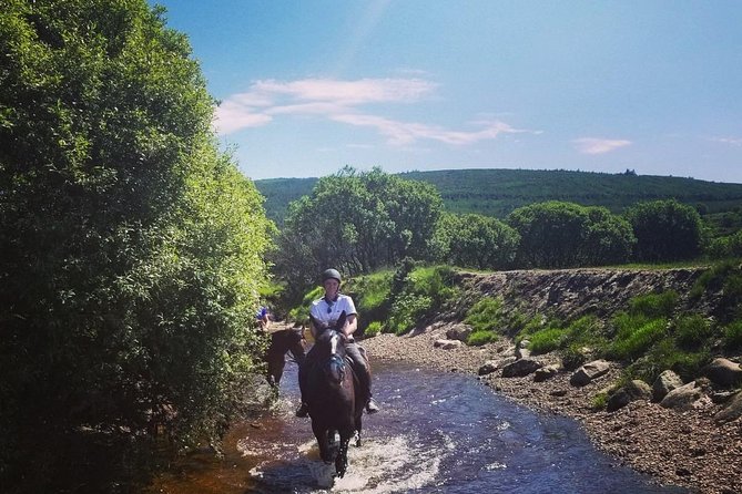 Wicklow Mountains Horse Trekking - Timing and duration: how 1 hour 20 minutes fits into a Wicklow day