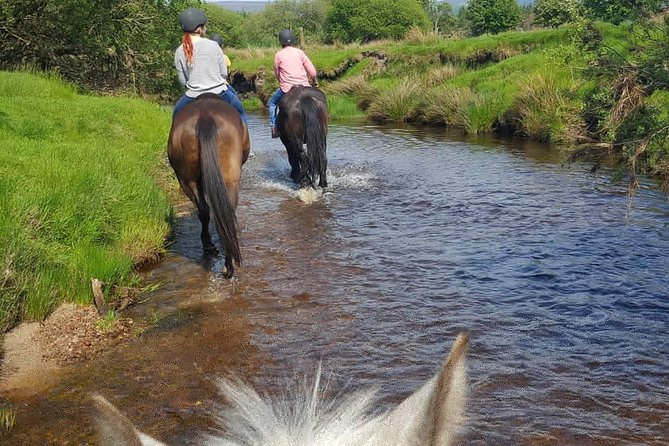 Wicklow Mountains Horse Trekking - Price and value: what $90.70 gets you in real terms