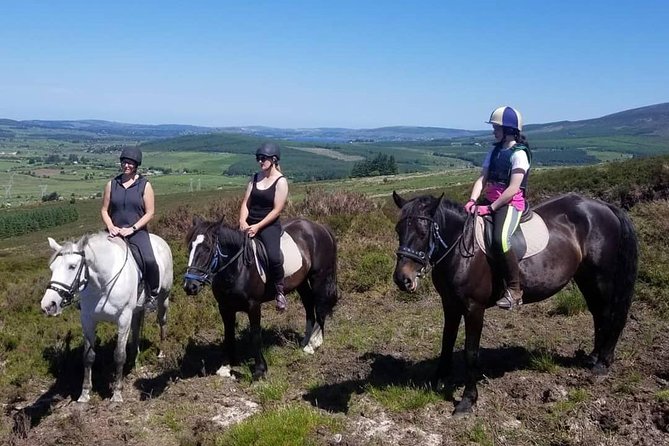 Wicklow Mountains Horse Trekking - Who should book Wicklow Mountains Horse Trekking, and who should reconsider