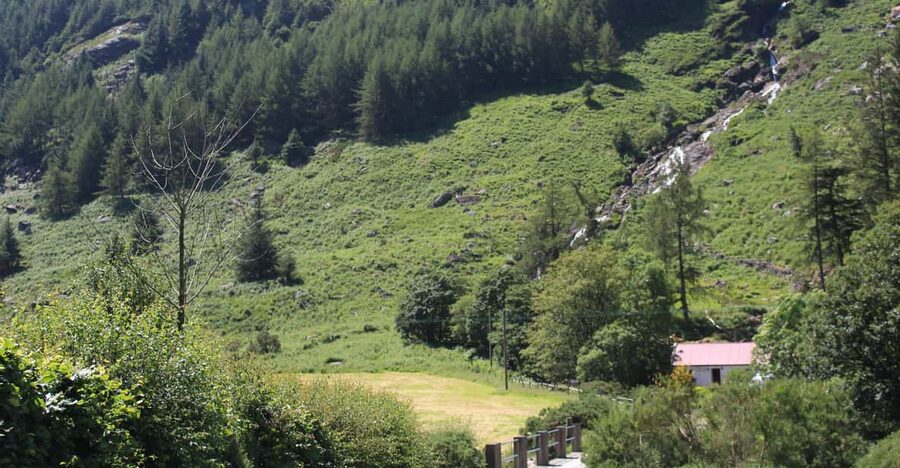 Wicklow Mountains Private Day Tour including Glendalough - Sally Gap: Where the Views Hit Quick, and the Stories Make Sense