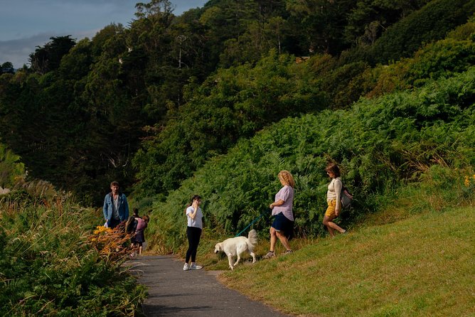 Wicklow Mountains Private Day Trip from Dublin - Your private setup: pickup, A/C car, and just one guide