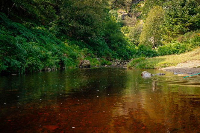 Wicklow Mountains Private Day Trip from Dublin - Powerscourt Waterfall at the estate: 121m cascading water and optional ticketing