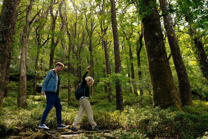 Wicklow Mountains Private Day Trip from Dublin - Price and value: what your $52 really buys