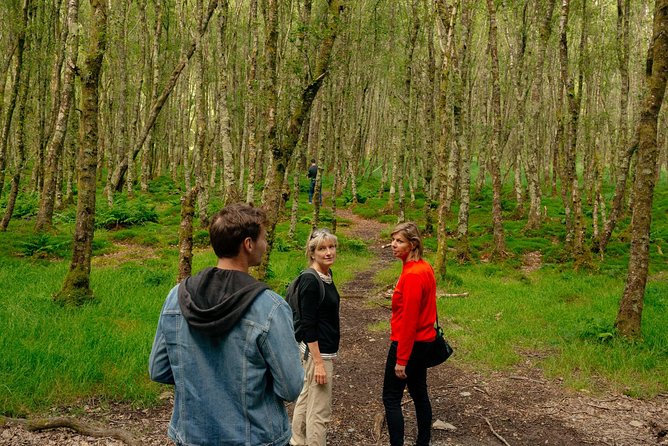 Wicklow Mountains Private Day Trip from Dublin - What makes Mydie’s style stand out, and how to use it