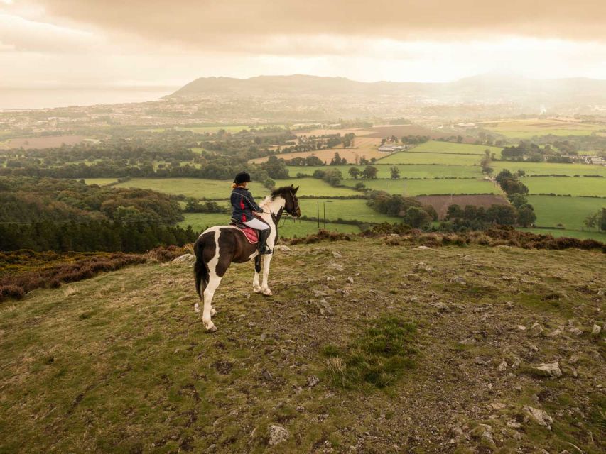 Wicklow: Private Day Tour from Dublin - What to Pack and How to Stay Comfortable