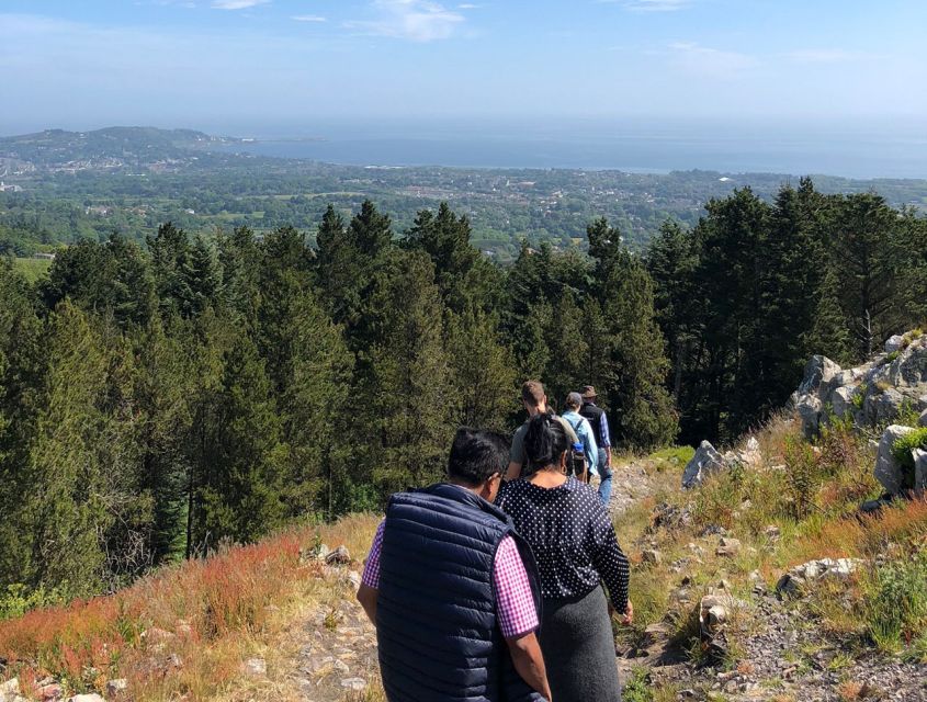 Wicklow: Private Day Tour from Dublin - Film Locations Without the Museum Vibe