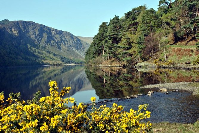 Wicklow tour of Glendalough - Avoca Woollen Mills and Coffee Shop: Souvenirs With a Built-In Pause